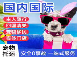 巴中恩阳机场快递国际宠物托运 【国